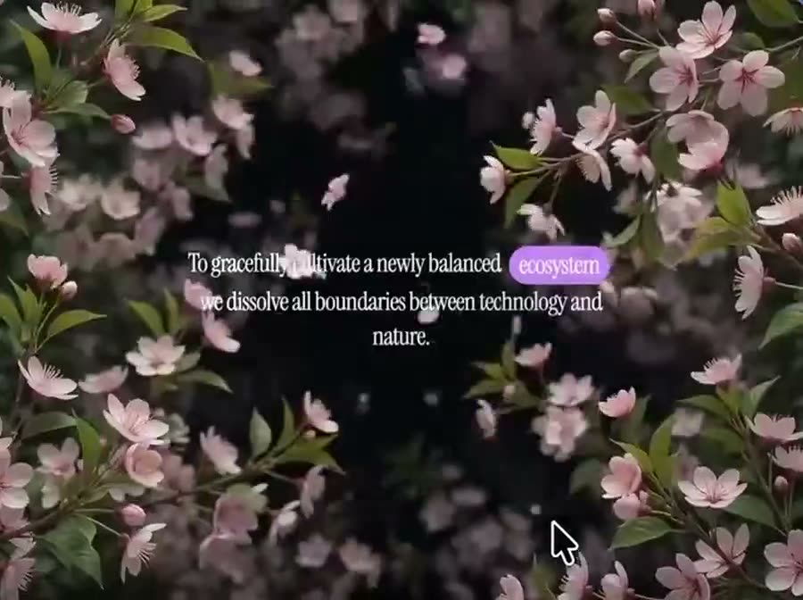 Bloom