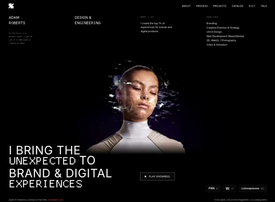 Digital Director